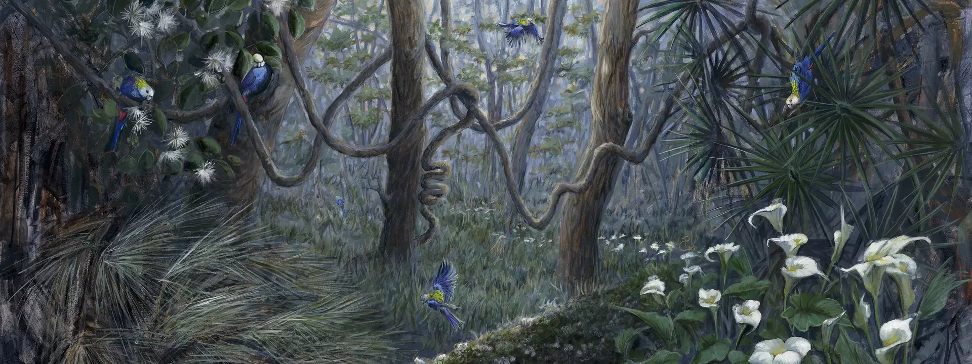 Beautiful australian rainforest image with seven pale headed rosella birds in their own elements with different kind of beau…