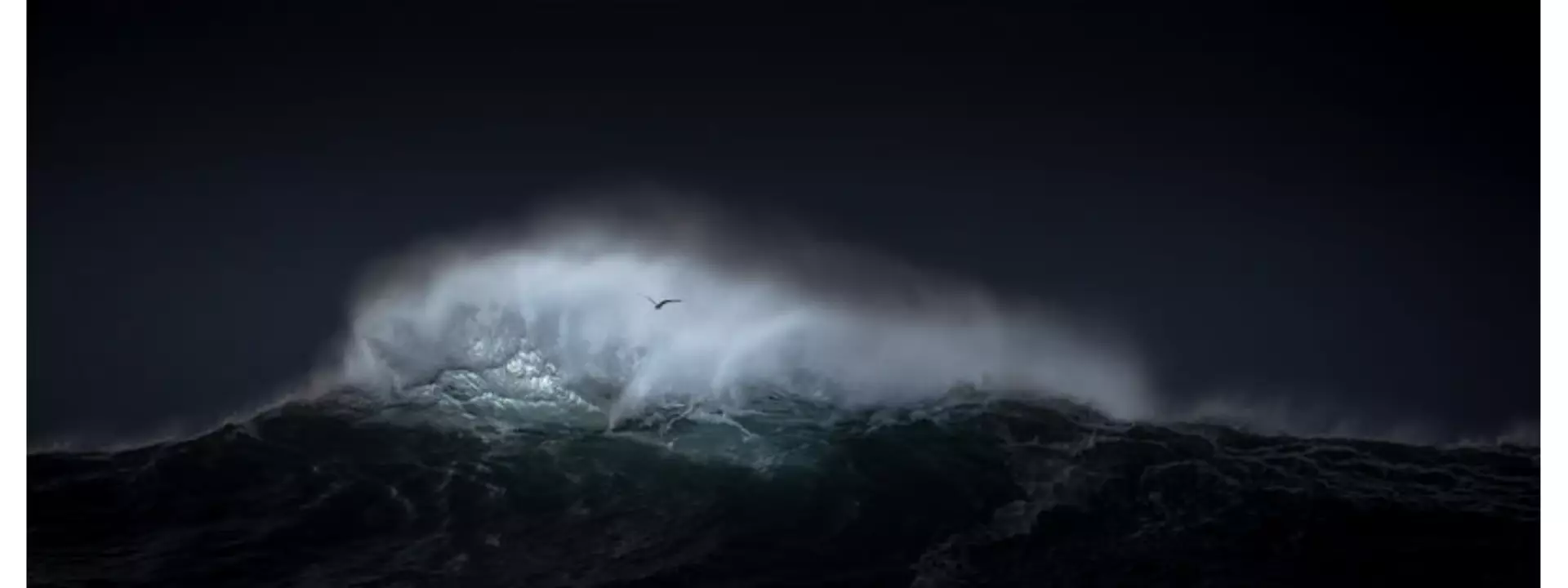 Flying Solo Ed. 2 of 10 by VICTORIA MCNEILL, Photograph