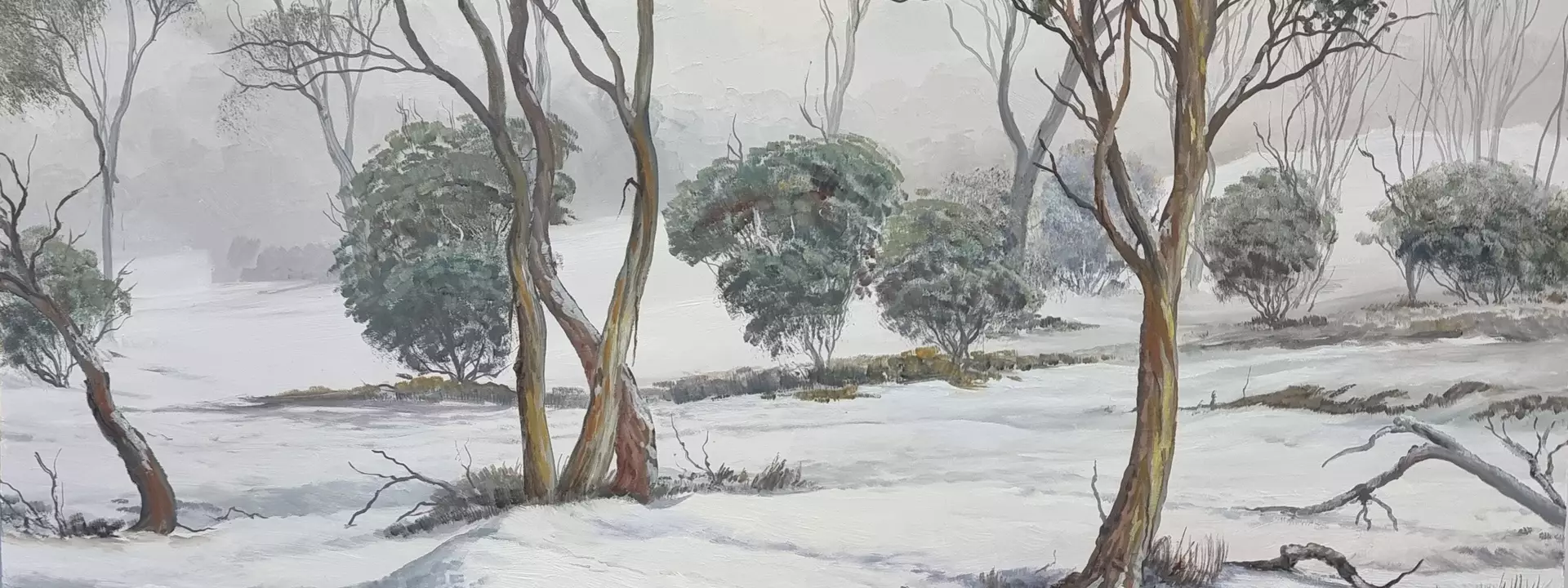 A snowscape showing shadows in the snow and the resilient snow gum trees and bushes.