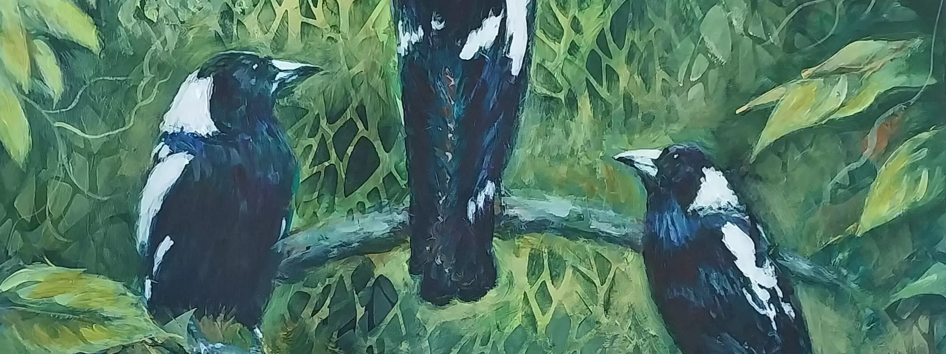 Three magpies facing different directions set in a bush setting.