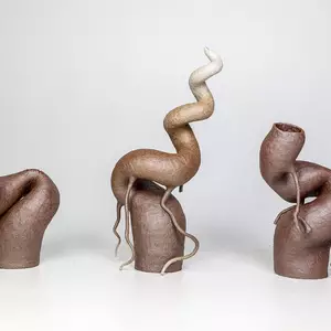 Nicola Sutcliffe
