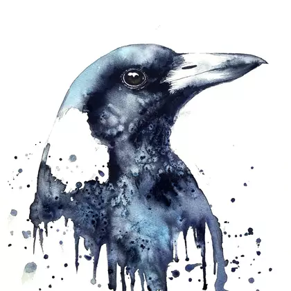 Watercolour magpie art on paper. An Australian Magpie painting by Sydney artist Leni Kae.