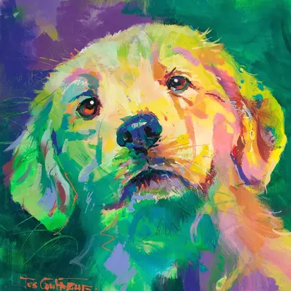 Portrait of a Golden Retriever Puppy in vibrant colours.