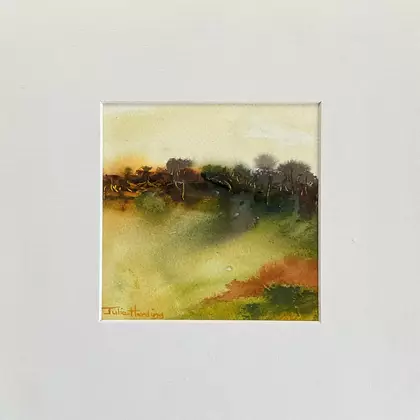 Contemporary impression of the Australian landscape