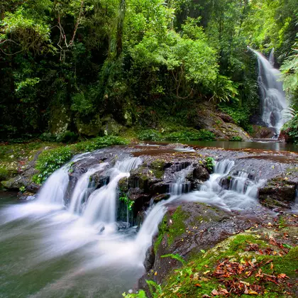 Elabana Falls cascades as soft silky ribbons over mossy rocks into a green pool surrounded by lush subtropical rainforest, L…