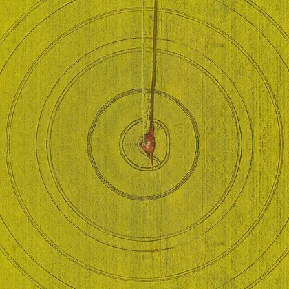 Aerial abstract of concentric circles in a bright yellow canola field