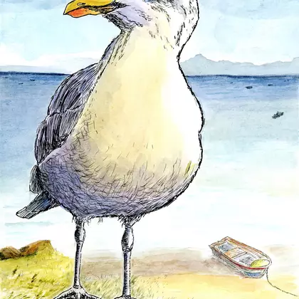 A silver gull stands on a weathered fence post with coastal grasses and a small dingy in the background with the blue sea.