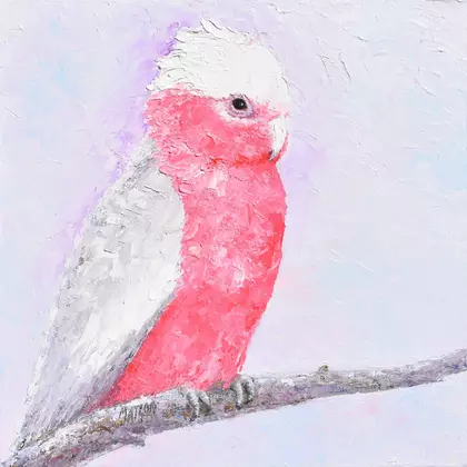 A thick textured oil painting portrait of a native Galah Cockatoo on a perch. The bird has a white crest, pink chest and a g…