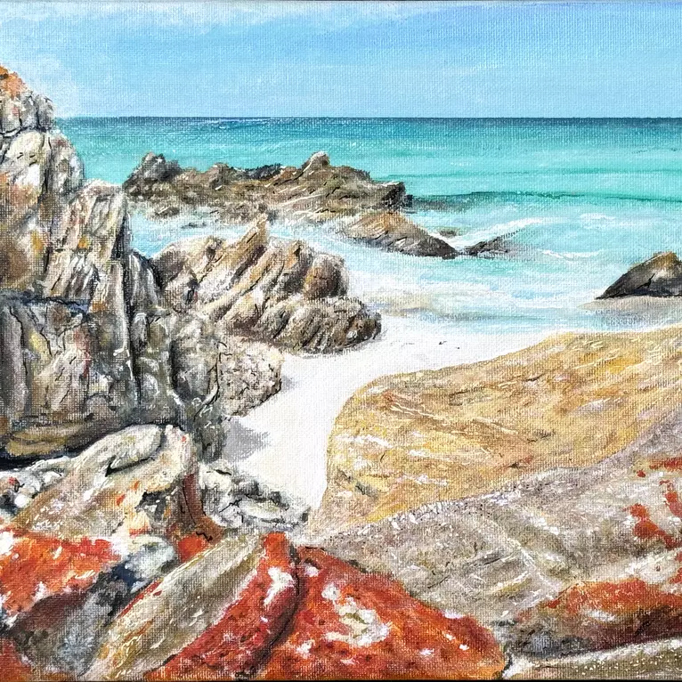 Eddystone Point by Reg Watson, Canvas Print