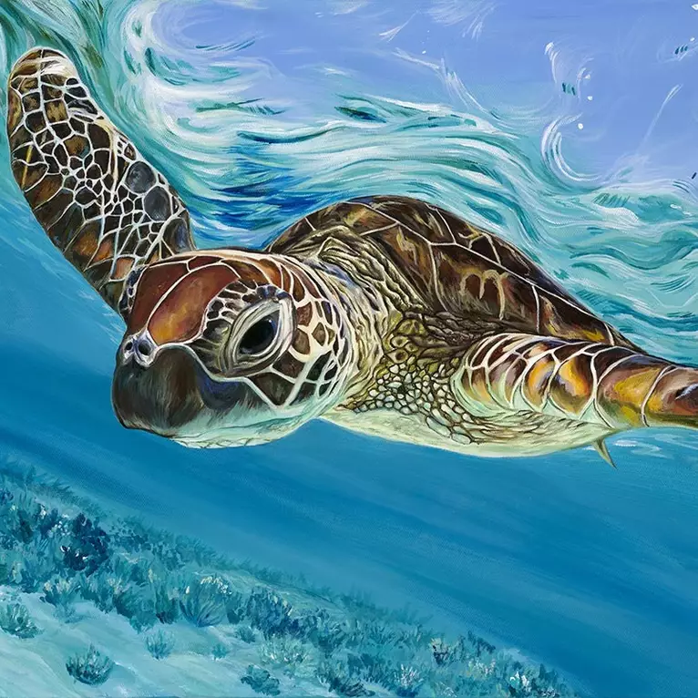 Turtle swimming through the Great Barrier Reef. Made in Brisbane upon receiving order.