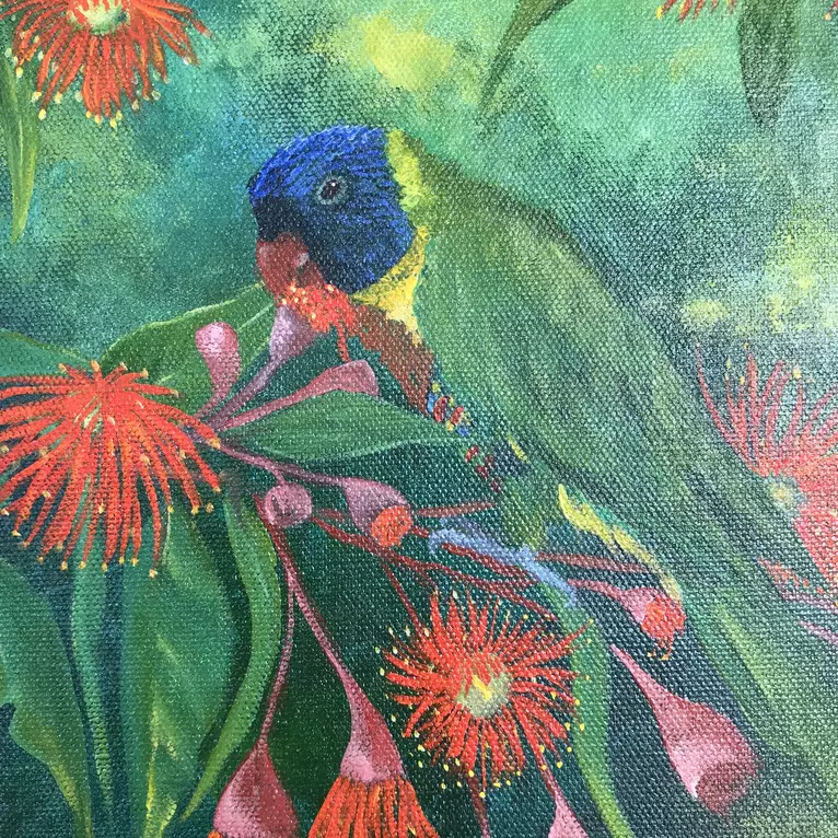 Rainbow lorikeets feasting on gum flowers. — detail
