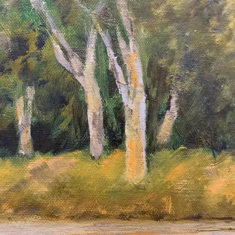 Sunset reflections on Central Australian creek — detail