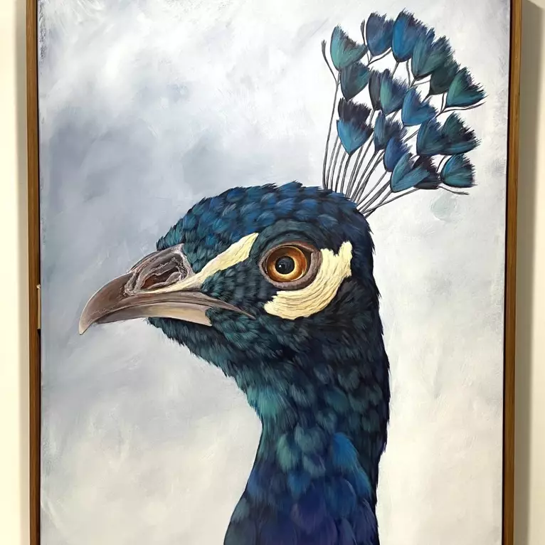 Blue Peacock head on subtle grey background — shown hanging