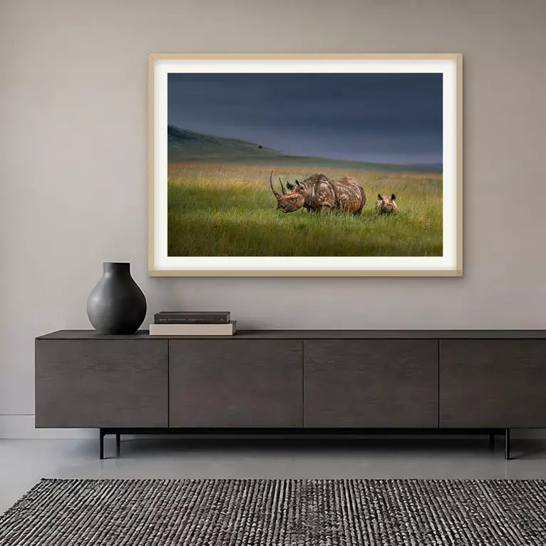 A female black rhino and her calf graze together in long green grass in warm light beneath a dark storm sky, Lewa Conservanc…