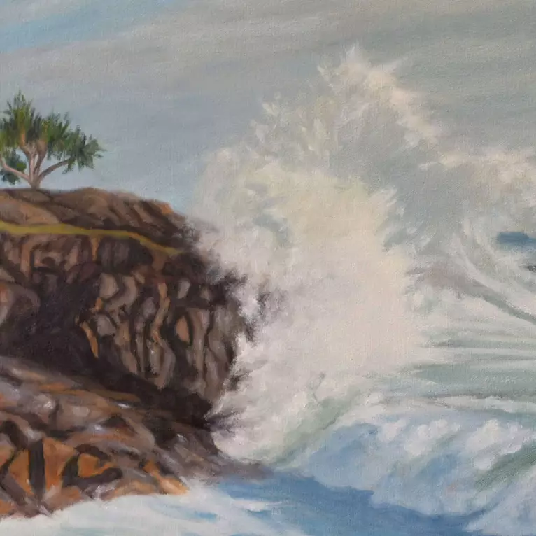 The sound of the surf poundind the rocks after rolling in with a large swell . — detail