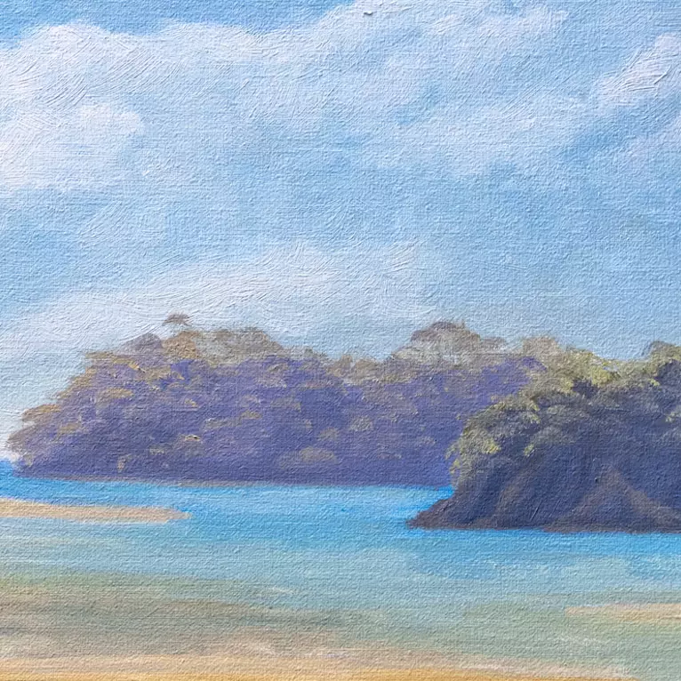 The beautiful turquoise water of the Pambula river, out to the Sapphire Coast — shown hanging