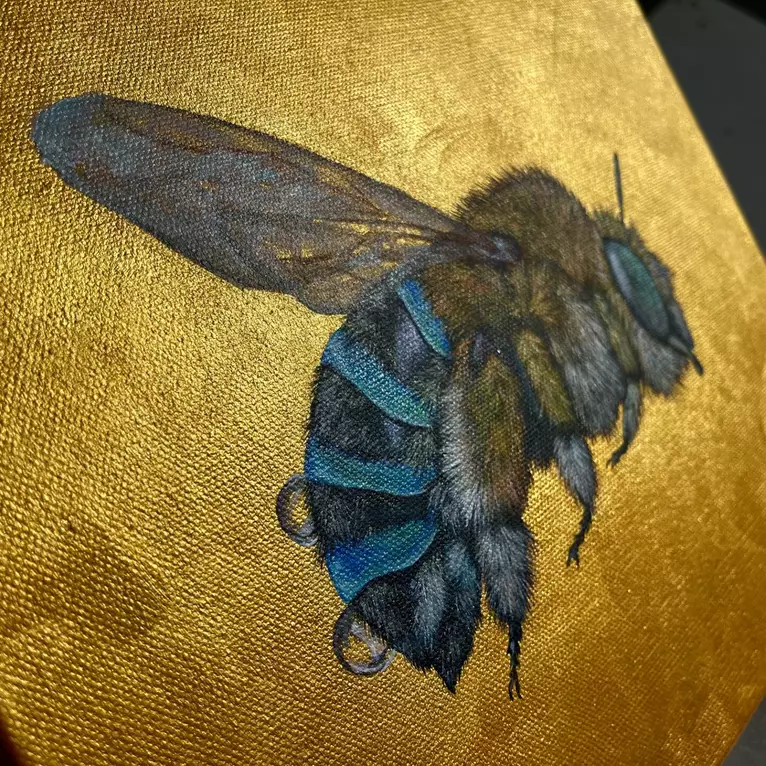 Photo realistic blue banded bee on monochromatic gold background