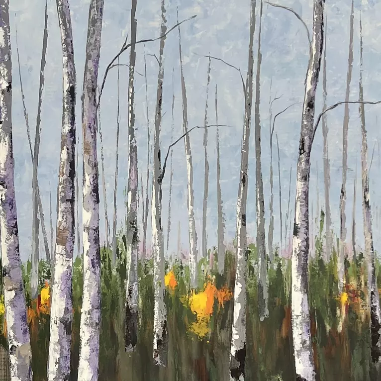 Aspen Sight by Tom Roso