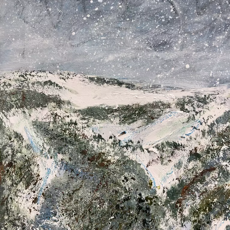'Thredbo inspiration’ Acrylic and artist crayon on canvas (91x91cm) Ready to hang Comes with certificat… — artist's signature