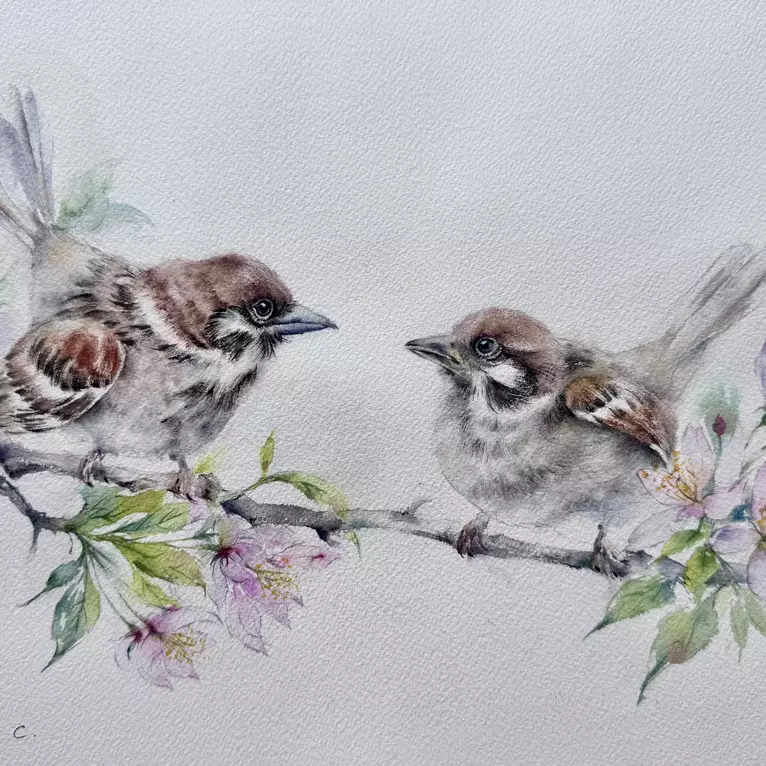 Spring Sparrows by Wenna C
