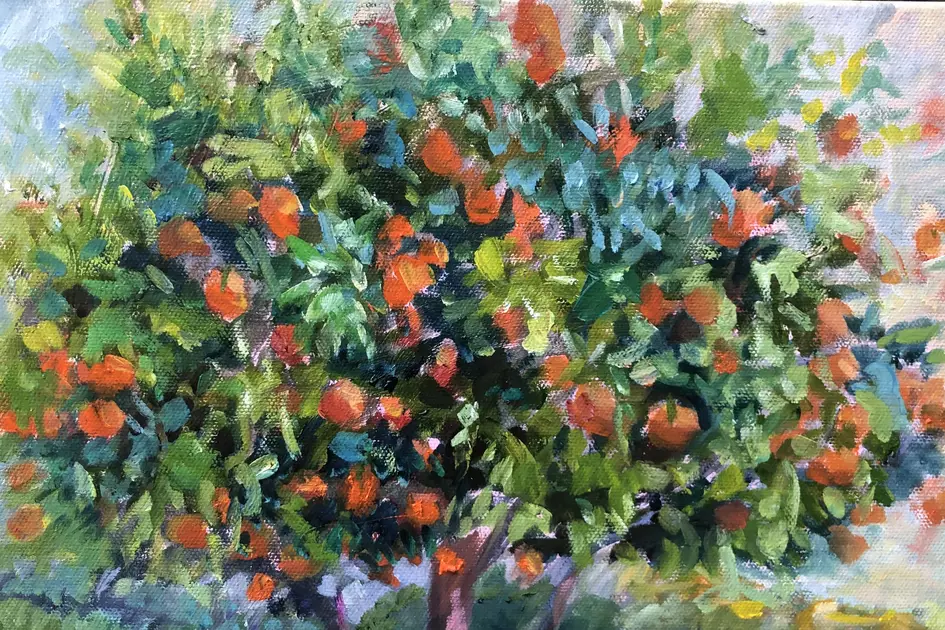 SUBURBAN ORANGE TREE by Maureen Finck