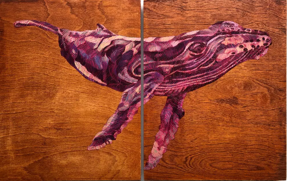Sunset Pink Humpback Whale - Study 1. Stained Wood Background by Sarah ...