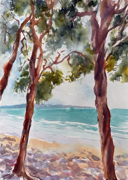 Tea Tree Bay Noosa Heads by Chris Hobel