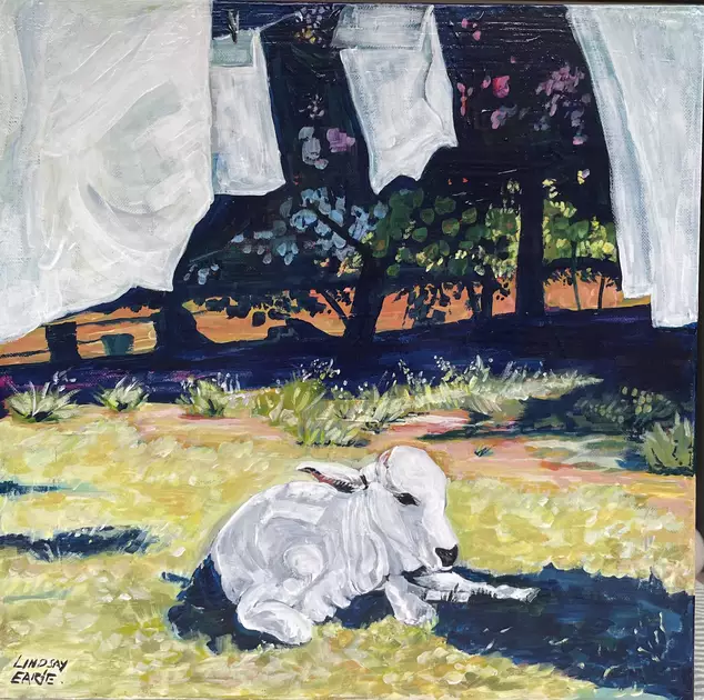 Lily the poddy calf by Lindsay Earle