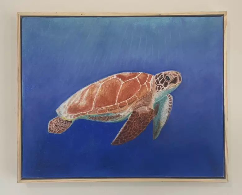 Turtle by James White