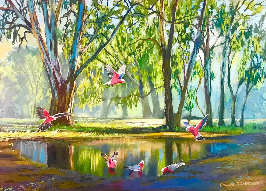 Gum trees and galahs at the Sandy Point Campground Hay Framed landscape ...