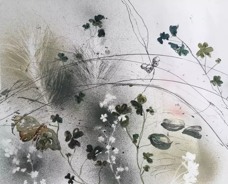 Natures garden series, drawing by Jennifer Prior