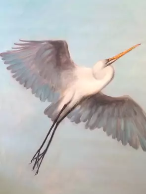 Fly Like a Bird Egret Australian Birds Wildlife by Millie Simic, Canvas Print