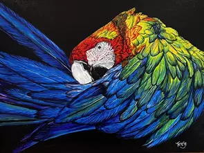 Scarlet Macaw by Terese Hudson, Canvas Print