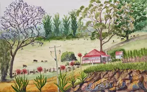 a serene landscape in NSW with a cottage and shed with a red tin roof, cows grazing in the hilly countryside, some gum trees…