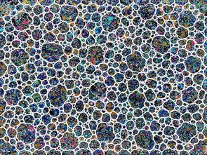 Midnight Opal Coastal Pebbles textured impasto large abstraction by Miranda Lloyd, Canvas Print