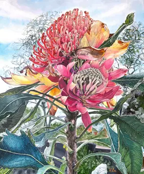 A Lifetime Fortitude – Telopea Speciosissima (Waratah) By HSIN LIN 16/10/2025 Artist Acrylic on Acid-free canvas. Signed at …