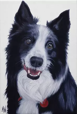 A Pet Portrait