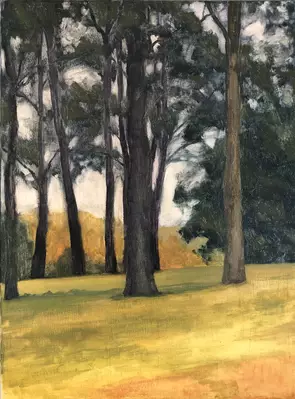 Pines by Rachel Atkins, Oil
