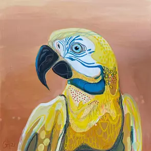 Wallace is a Blue and Yellow Macaw and can be found in South America.