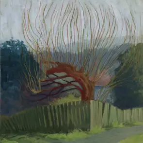 The Mulberry tree in Whites Lane by Rachel Atkins, Acrylic