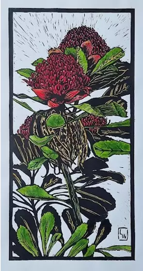 Robertson Waratahs II Ed. 1 of 50 by Leon Weatherstone, Linocut Print, Australiana