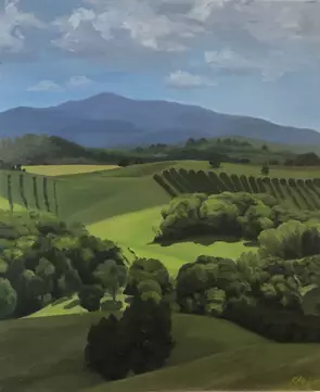 sun shinning on green trees and hills with blue mountains in distance