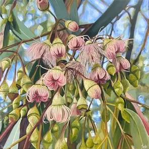 Pink Gumnuts by Sarah Abbott, Acrylic, Australiana