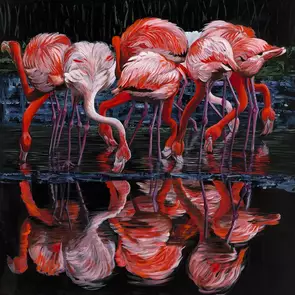 Black in the background with bright red orange and white flamingoes in the foreground. bunch of flamingoes sun bathing and t…