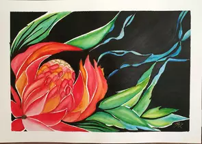 Abstract Waratah by Meredith Dixon, Watercolour, Abstract