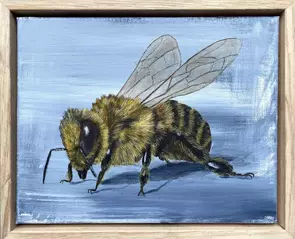 Photo realistic bee on distressed grey background