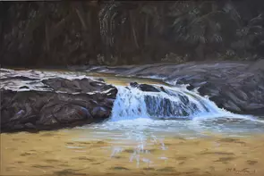 A river running forest will come to an overflow so the water will fall and keep falling away .