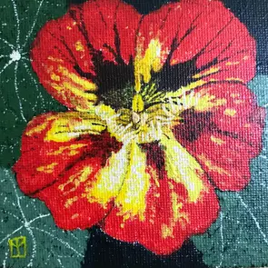 The artwork shows a nasturtium red flower with dark green leaves at the background.