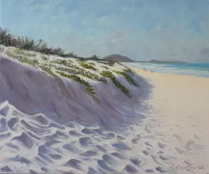 To get to the beach there is a walk past the dune