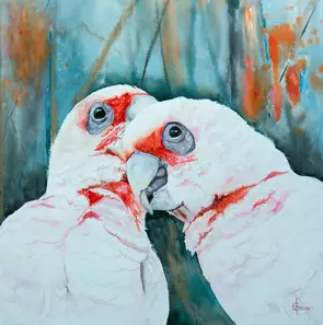 Long billed Corella watercolour painting